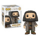 HAGRID AVEC LETTRE OVERSIZED / HARRY POTTER / FIGURINE FUNKO POP / EXCLUSIVE SPECIAL EDITION