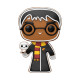 GINGERBREAD HARRY POTTER / HARRY POTTER / FIGURINE FUNKO POP