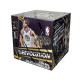 HOBBY BOX BASKETBALL REVOLUTION 2023/24 / PANINI